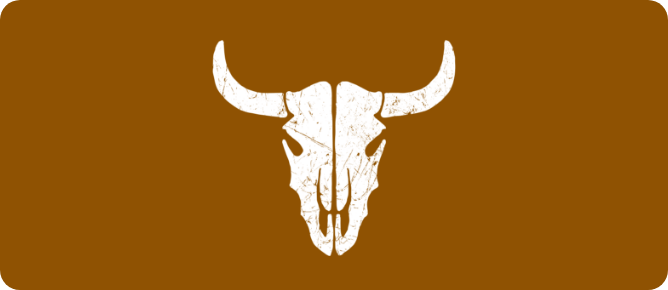 Rails version bull image