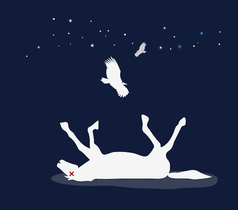 Image of dead horse