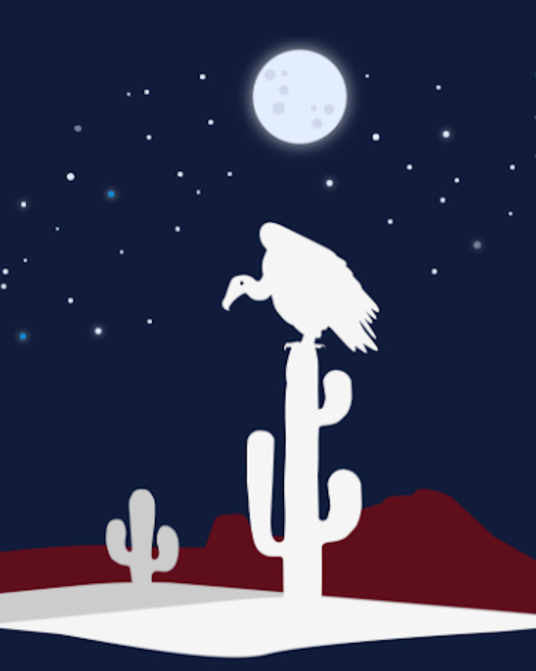 Volture on cactus